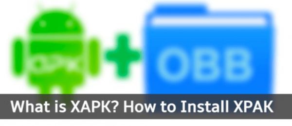 How to Install XAPK